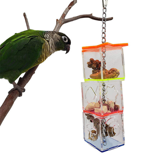 Acrylic parrot foraging device filled with food, hanging on branch.