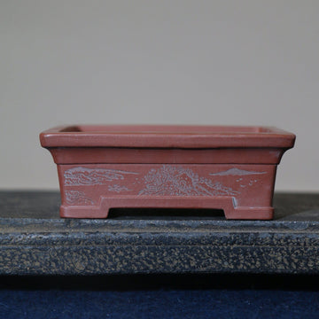 Plain Cement