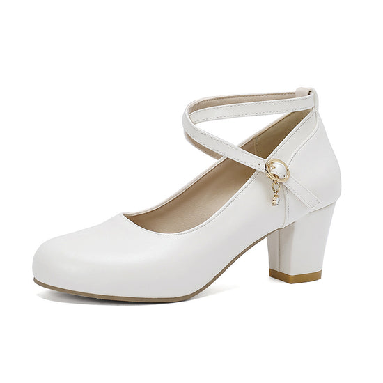 Chunky Heel High Heel Shoes Mary Jane Shoes Work Shoes